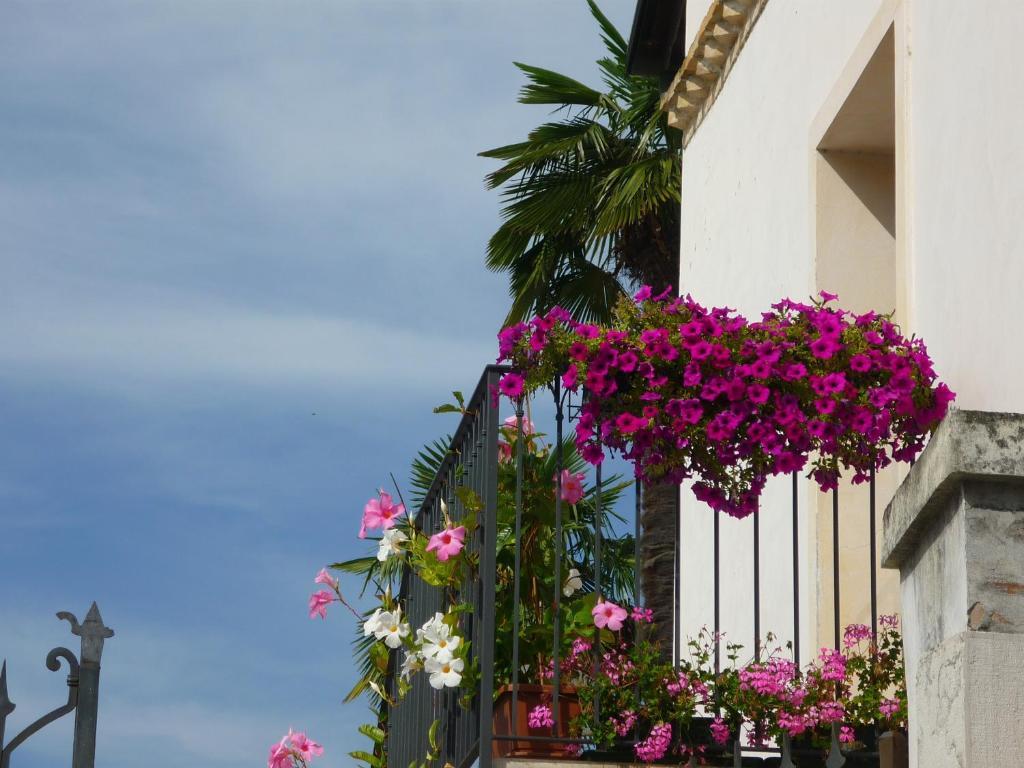 Hotel In Sylvis Sesto al Reghena ภายนอก รูปภาพ